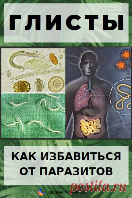 Глисты или как избавиться от паразитов без таблеток в домашних условиях