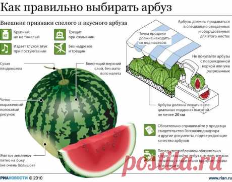 Как правильно выбрать арбуз