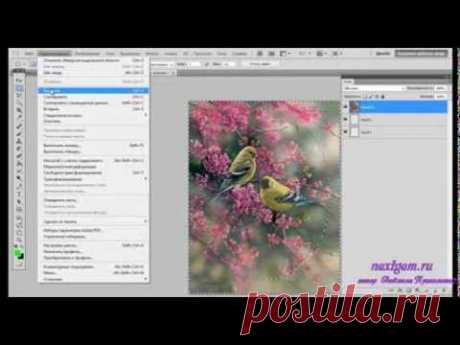 Урок 5 видеокурса &quot;Фотошоп для всех&quot; Инструменты выделения 1ч. - YouTube