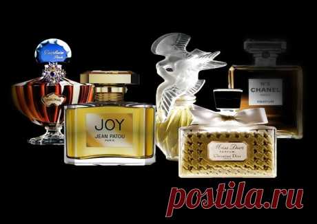 Пять классических ароматов, которые вне времени | Parfum Collection | Яндекс Дзен