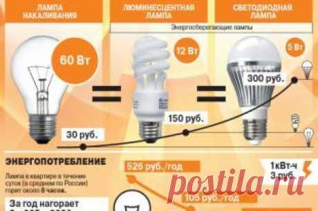 Какие лампы самые экономные? Инфографика