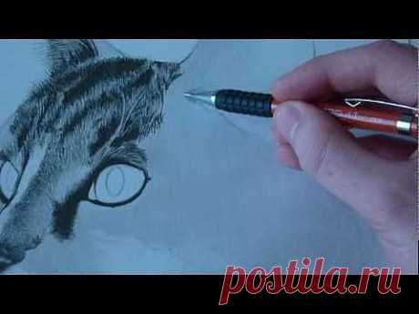 How to Draw Animal Fur (Cats) - YouTube