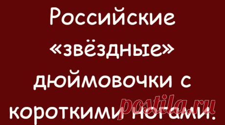 Российские «звёздные» дюймовочки с короткими ногами.
К &quot;звёздным&quot; барышням очень много внимания со стороны прессы и публики. Им приходится тщательно следить за собой и постоянно быть
Читай дальше на сайте. Жми подробнее ➡