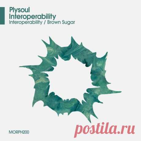 Plysoul - Interoperability
