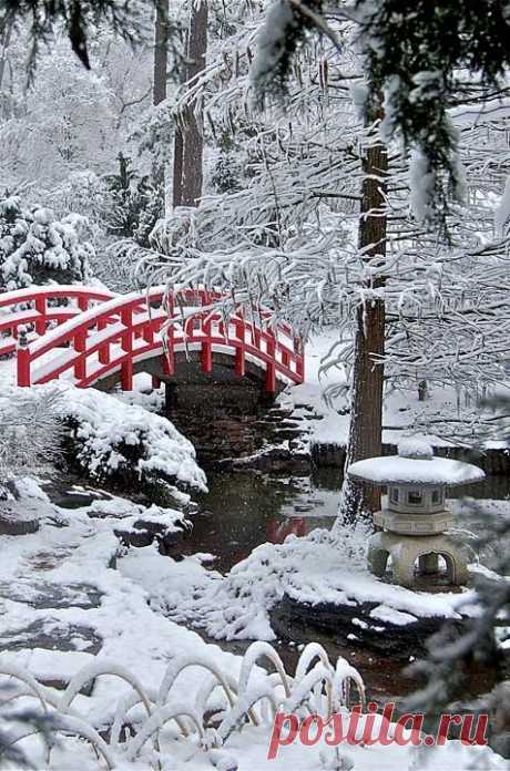 Red bridge in a frozen Japanese garden  |  Pinterest • Всемирный каталог идей