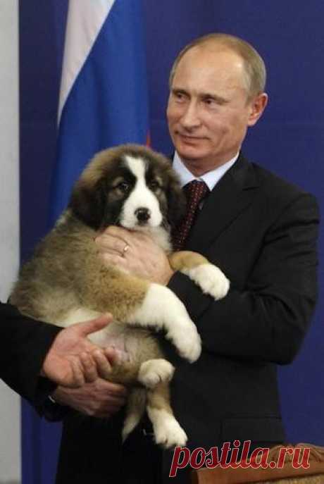 Президент России и его собаки