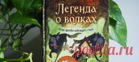 Робин и ее отец-охотник приезжают в ирландский городок Килкенни, чтобы истребить последнюю стаю волков. Так приказал лорд-протектор. Случайно девочка узнает: грозные животные — это люди, которые превращаются в волков во сне. Удастся ли ей защитить стаю?