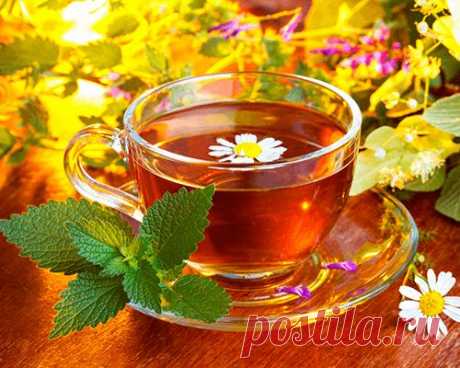 23 полезные добавки к чаю, которые легко вырастить самому