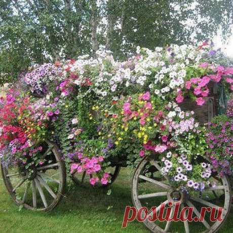 I love this! Vintage Garden Cart filled full with Vintage Wild Flower and garden flower love  | Misty ValVerde приколол(а) это к доске Flower Love