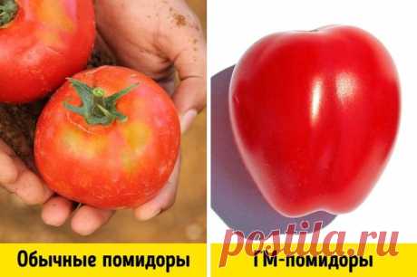 3 простых способа отличить ГМО от обычных продуктов | Всегда в форме!