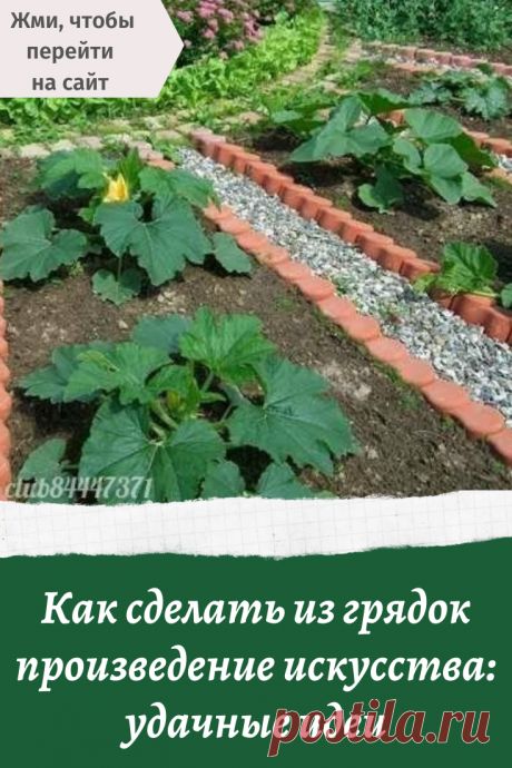 Как сделать из грядок произведение искусства: удачные идеи