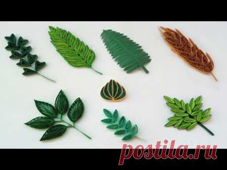 Quilling Basic Shapes - Leaves (8 different types ) Paper Quilling Art