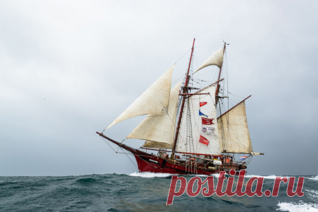 Tall Ships Belfast 2015 | Tall Ships Gallery