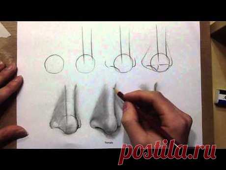 Tips On Drawing The Nose - YouTube