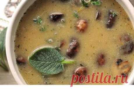 Суп-пюре с белой фасолью и грибами — Кулинарная книга - рецепты с фото