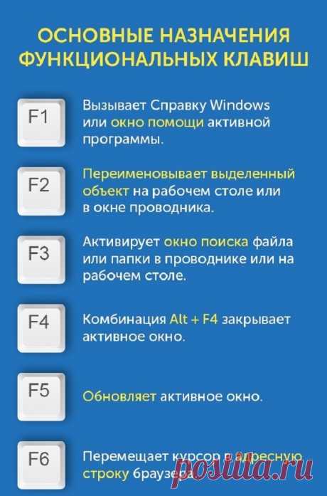 Эти 12 клавиш — настоящая находка! Теперь справляюсь с работой в два счета. — Копилочка полезных советов