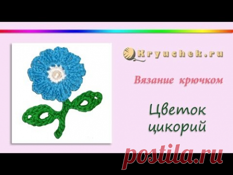 Цветок цикорий крючком. Цветочная коллекция. (Crochet. Floral collection. Flower chicory)