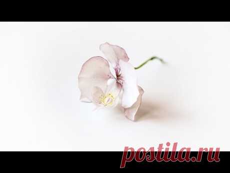 Цветы из мастики: орхидея фаленопсис