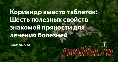 Кориандр вместо таблеток: Шесть полезных свойств знакомой пряности для лечения болезней Кориандр является семенами киндзы и с древних времен использовался в медицине для улучшения пищеварения и хорошего аппетита. Новые исследования медиков выявили шесть полезных свойств знакомой пряности, которую можно использовать для лечения некоторых болезней.
Специалисты доказали, что этот природный целитель активизирует работу желчного пузыря, а также помогает устранить проблемы с кишечником. Кр