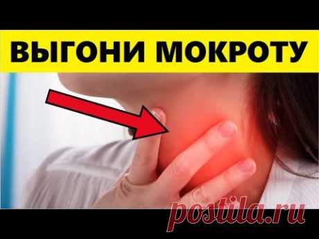 Как Выгнать Слизь и Мокроту Из Горла и Груди? Поможет Этот Обычный...