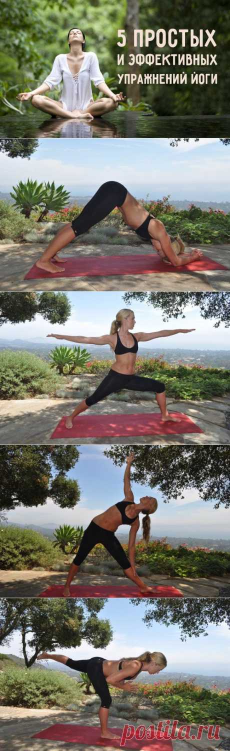 5 простых и эффективных упражнений йоги