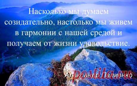 (2) Александр Палиенко - Alexander Palienko