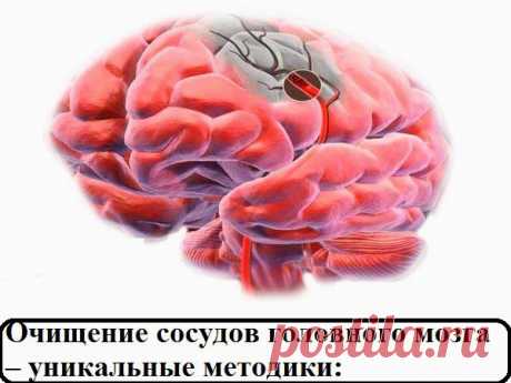 Всё самое интересное!: Очищение сосудов головного мозга