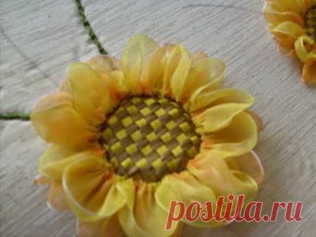 BELLO GIRASOL