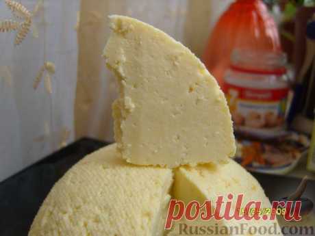 Сыр домашний - из творога и молока