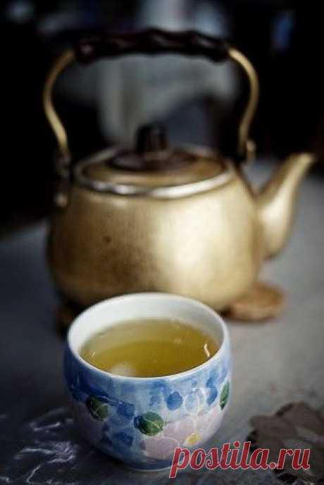 10 неоспоримых доводов раскрывающих всю пользу зелёного чая