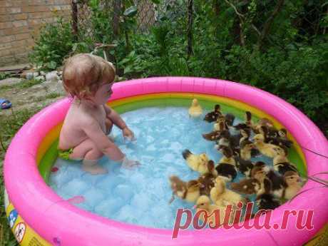 Детям купили бассейн!)