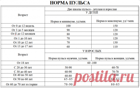 Чем чаще пульс — тем короче жизнь. Какой пульс считается нормальным | Павел Корпачев | Яндекс Дзен