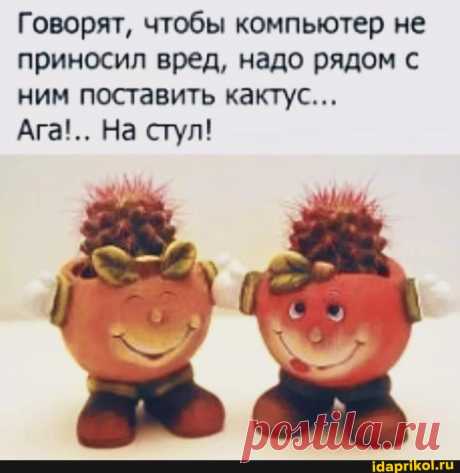 Говорят, чтобы компьютер не приносил вред, надо рядом с ним поставить кактус... Ага!.. На стул! - ) / АйДаПрикол .)