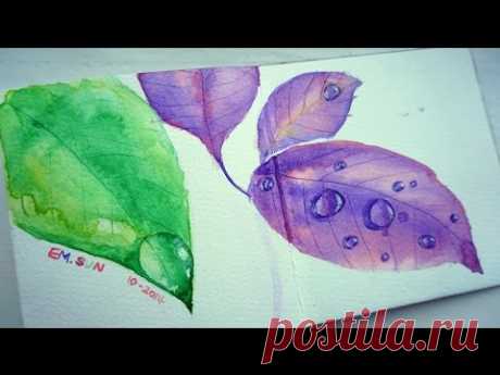 Watercolour Journal Time Lapse- Leaves with Rain Drops
