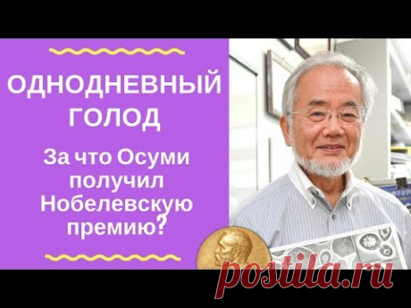 Однодневный голод. За что Осуми получил Нобелевскую премию?