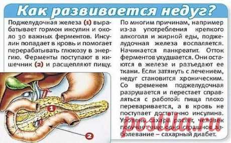 СОВЕТ 1: ЕСЛИ ВАША ПОДЖЕЛУДОЧНАЯ СТРАДАЕТ - РЕЦЕПТ В МГНОВЕННЫМ ДЕЙСТВИЕМ
Когда поджелудочная дает сбой - нам это доставляет ужасный дискомфорт. Но есть дин замечательный рецепт с мгновенным действием, который не только облегчит неприятные ощущения, но и избавит вас от них навсегда.
А всему причина - семена льна. Именно они - эликсир здоовья для нашей поджелудочной железы. 
Рецепт для поджелудочной:
Завариваем в половине стакана крутого кипятка одну стол. ложечку льняного семени. Ставим их н