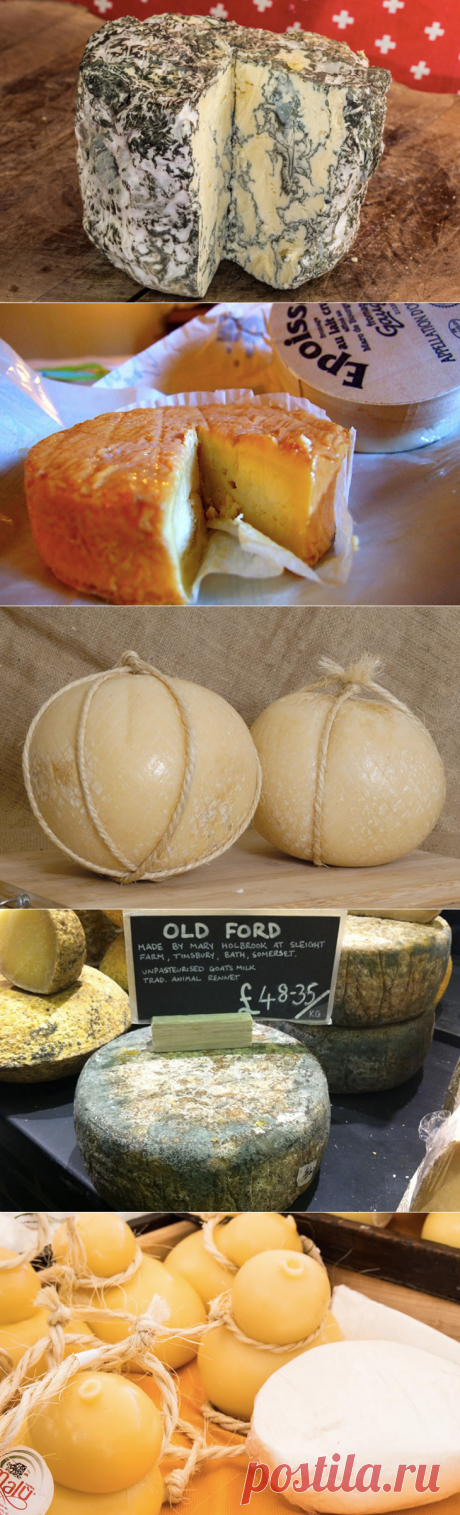 10 сыров на вес золота | Golbis