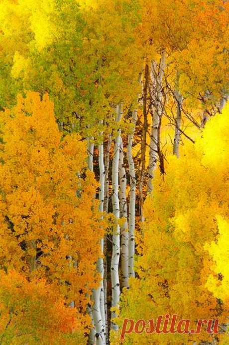 Colorado Fall от пользователя Wayne Boland на Flickr  | Flickr - Photo Sharing!