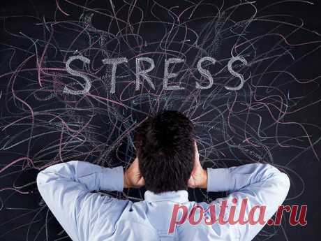 Влияние стресса на организм человека, как себя защитить Каким образом стресс оказывает влияние на организм человека? Негативное влияние на ЖКТ, сердечно-сосудистую систему, нервную и другие.