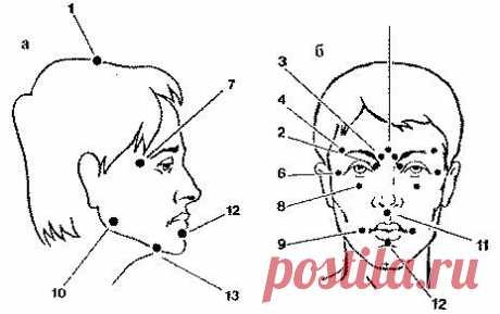 Точечный массаж лица - омолаживаем кожу дома!.