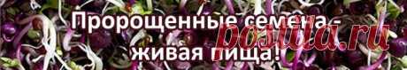 Формула стройной фигуры известна: ограничение калорий и увеличение физической активности. Обе переменные вызывают хороший аппетит. Сладкоежки мучаются вдвойне. В итоге, переедание ставит крест на планах по снижению избыточного веса.
Для обуздания этого чудовища придуманы мощные фармакологические препараты, угнетающие центры голода в головном мозге. Они дороги, имеют длинный список побочных эффектов.
Орто.ру предлагает собственную программу контроля аппетита.