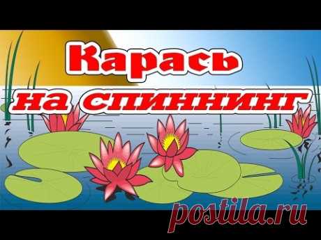 Карась на спиннинг