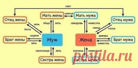 Родственные отношения. Кого как называть? - ***ПСИХОЛОГИЯ ОТНОШЕНИЙ - Группы Мой Мир