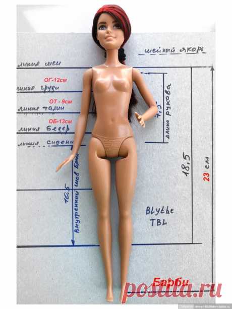 Мерки кукол 2 - База знаний, сравнение кукол разных производителей | Бэйбики - 211898