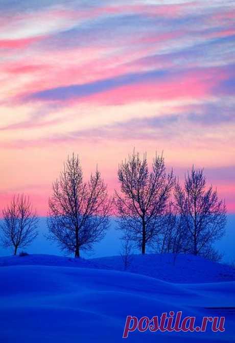 Early Morning Pink, Calgary, Alberta, Canada ♥  | Karen Badcock приколол(а) это к доске Winter Scenes &lt;3