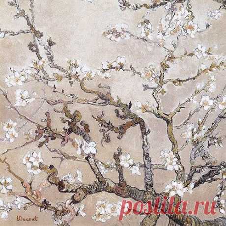 Винсент Ван Гог (Vincent van Gogh; 1853-1890). Almond Branches In Bloom, San Remy.