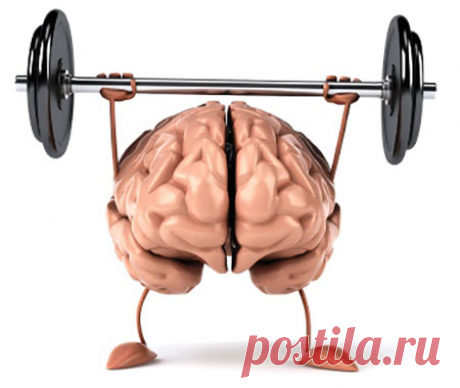 4 упражнения, чтобы не потерять к старости трезвый ум и ясную память: glorioza3 — ЖЖ