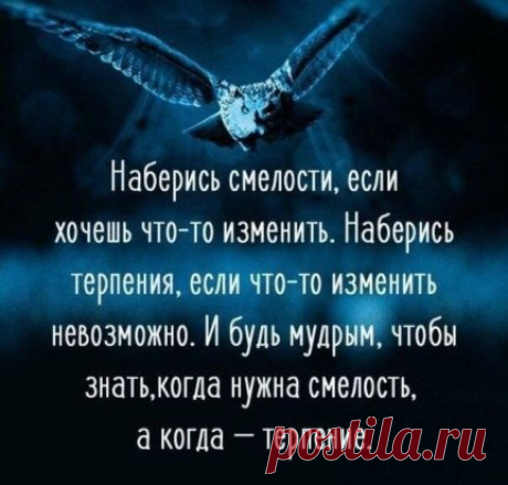 (75) Одноклассники