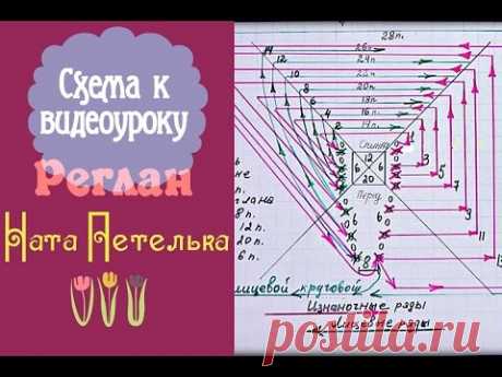 Схема к видеоуроку "Учимся вязать реглан сверху спицами".