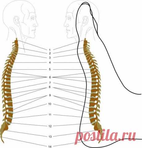 Как массажем стопы снять напряжение и боли в спине